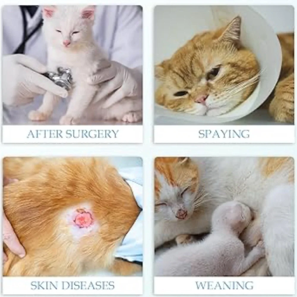 Cat Recovery Suit Breathable Cat Onesie Clothes After Surgery Female, Kitten